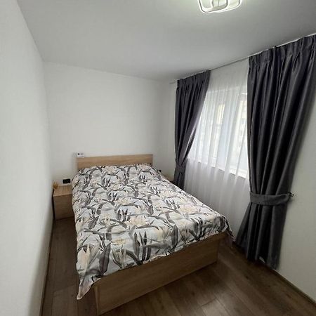 Sica Guesthouse Borşa Exterior foto